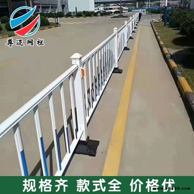 尊邁現(xiàn)貨人行道護(hù)欄特殊可定制