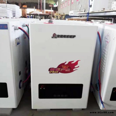 現貨供應家用省電電壁掛爐 智能變頻電采暖爐  節能環保電鍋爐    銳陽