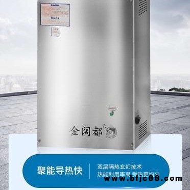 燃氣環保釀酒鍋爐 液化氣節能蒸汽機 金闊都60火排蒸饅頭釀酒涼皮蒸汽壁掛爐