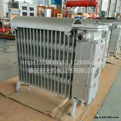 煤礦用RB-2000/127(A) 防爆電熱取暖器干燒型暖氣片