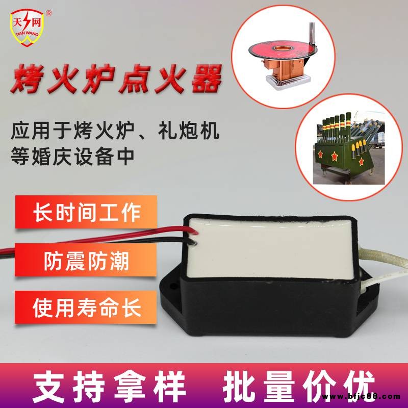 廠家直銷壁掛爐暖風機汽車加熱器高壓脈沖發(fā)生器可持續(xù)點火
