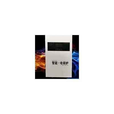 全滿貫家用電采暖爐 智能電采暖爐 落地式電鍋爐 電壁掛爐大量現(xiàn)貨供應(yīng)