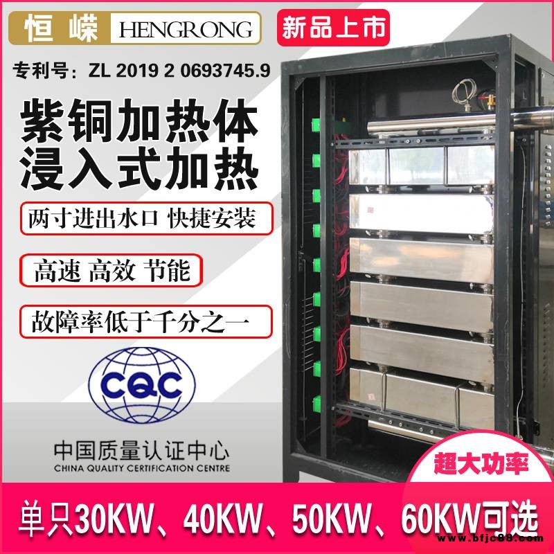 天津電鍋爐加熱器采暖爐加熱器加熱器廠家加熱器價格恒嶸科技