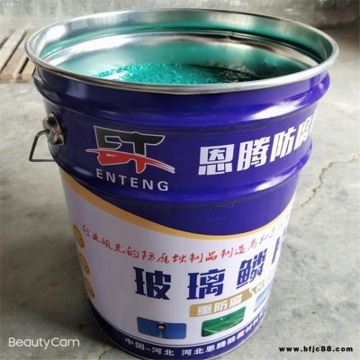 恩騰現(xiàn)貨批發(fā) 乙烯基酯玻璃鱗片膠泥 脫硫塔專用樹脂玻璃鱗片膠泥 玻璃鱗片樹脂涂料