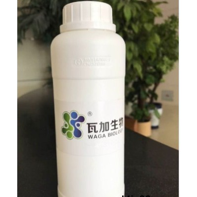 四川正規水性木器漆專用抗菌劑高品質的選擇 誠信經營 上海瓦加生物科技供應