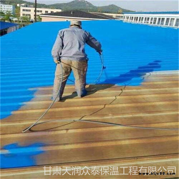 翻新彩鋼屋頂 不銹鋼彩鋼瓦翻新油漆 天潤眾泰