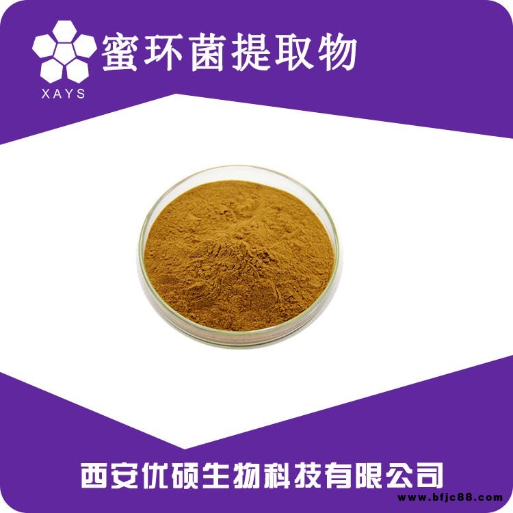 蜜環菌提取物 蜜環菌粉 蜜環菌水溶粉 優碩生物