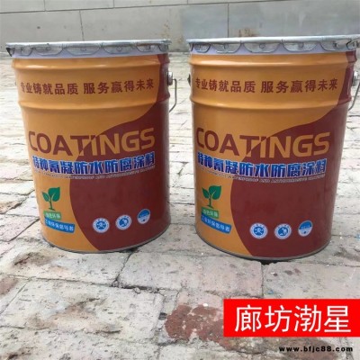 特種氰凝防水防腐涂料 水池防水氰凝噴涂涂料 渤星 氰凝防水防腐涂料 冷卻塔氰凝防水防腐漆