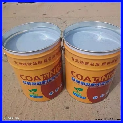 氰凝防水防腐涂料直銷(xiāo) 瑞通 耐氣候氰凝防水防腐涂料 水池防水防腐專(zhuān)用涂料
