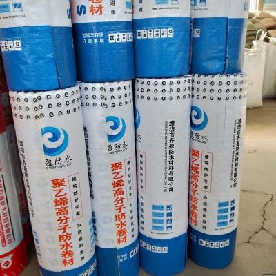 齊盈防水 聚乙烯丙綸防水卷材防水卷材涂料價(jià)格 衛(wèi)生間防水材料 防水防潮