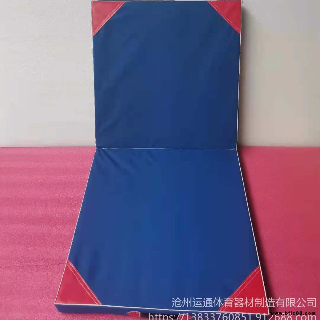 批發(fā)帆布牛津布體操墊 運動場通用體操墊 武術(shù)墊 定制兒童體操墊 空翻手提墊