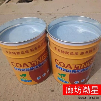 防水氰凝涂料 渤星 氰凝防水防腐涂料