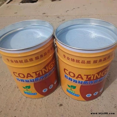 污水池防水漆 沉淀池防水防腐漆 氰凝防水防腐涂料  渤星