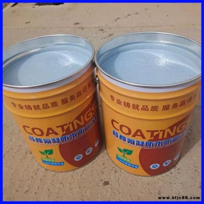 萍鄉氰凝防水防腐涂料 氰凝防腐油漆 渤星廠家批發