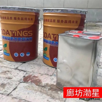氰凝防水防腐涂料 渤星 改性樹脂氰凝防腐涂料 耐高溫氰凝防腐涂料