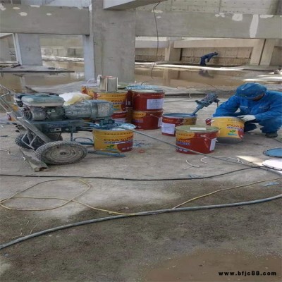 東莞污水池氰凝防水防腐涂料 污水池防腐涂料 渤星廠家批發(fā)