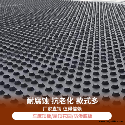 塑料防護排水板 屋頂綠化排水板 排水板施工方案塑料防護排水板