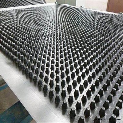 安平天罡廠家直銷 塑料防護(hù)排水板YW-P08 土建工程排水板 塑料排水板 疏水板 濾水板 導(dǎo)水板規(guī)格齊全來電優(yōu)惠