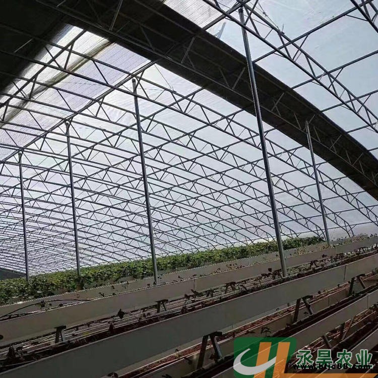 羊肚菌大棚 雙層膜溫室骨架 雙膜骨架大棚 丞昊農(nóng)業(yè)制造 大棚鋼架 100型雙膜骨架