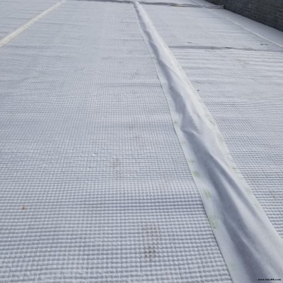 江西車庫頂板虹吸排水板 防護(hù)虹吸排水板 塑料排水板 蓄排水板 疏水板   廠家直銷