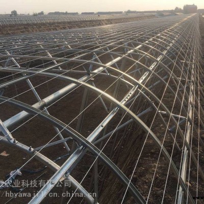 防雨120C型雙膜骨架吉林Q235B鋼材雙膜骨架大棚雙膜骨架市場(chǎng)價(jià)