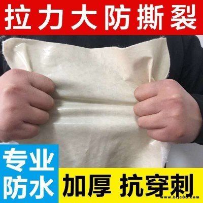 復合土工膜 長短絲兩布一膜一布一膜 蓄水池防滲膜沼氣池土工膜