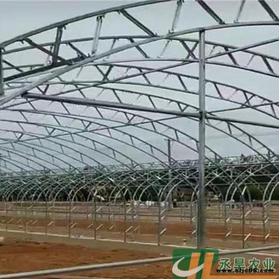 雙膜骨架 溫室大棚骨架 丞昊農業直銷 大跨度雙膜大棚 雙膜骨架暖棚 鍍鋅C型鋼