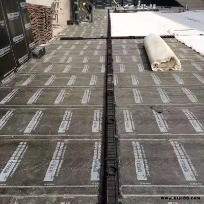 車庫頂板虹吸排水板廠家 虹吸排水板施工包教包會、虹吸排水板規格齊全口碑廠家推薦