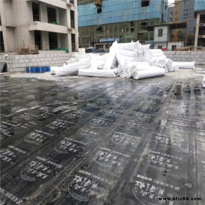 南陽(yáng)覆長(zhǎng)絲布排水板 熱熔排水板 熱復(fù)合排水板 漢高價(jià)格優(yōu)惠