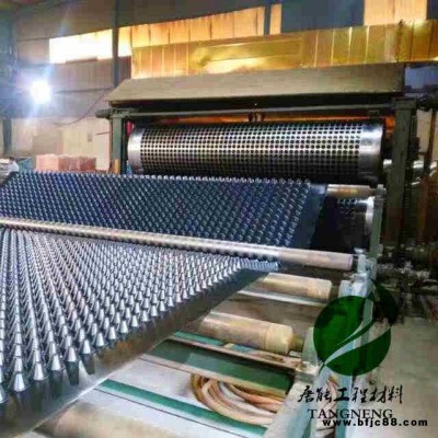 安順排水板批發 排水板代理價格銷售 唐能排水板售安順全市