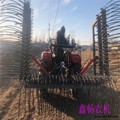 小型摟地膜回收機(jī) 農(nóng)田清理地膜機(jī)器 彈齒摟膜機(jī) 農(nóng)用廢膜回收機(jī) 小型摟膜機(jī)