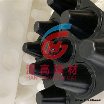 漢高30mm排水板_30mm排水板價格_優(yōu)質(zhì)30高排水板批發(fā)/采購