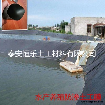 本溪土工膜廠家直銷 兩布一膜 恒樂施工方便