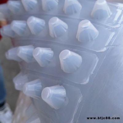 熱銷排水板高度 排水板規格 排水板施工圖片