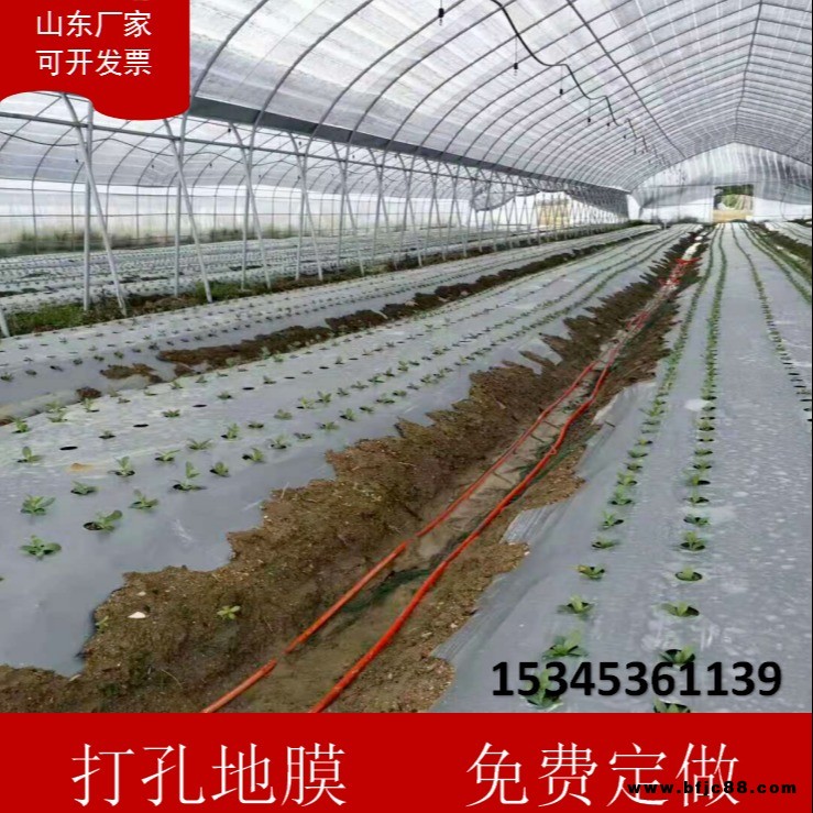 傲隆地膜 銀黑打孔地膜 全新料PE 除蟲反光上色  草莓專用膜 非洲菊專用膜 辣椒專用膜