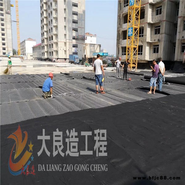 排水板廠家直銷 批發(fā) 疏水板排水板價(jià)格實(shí)惠  排水板廠家施工