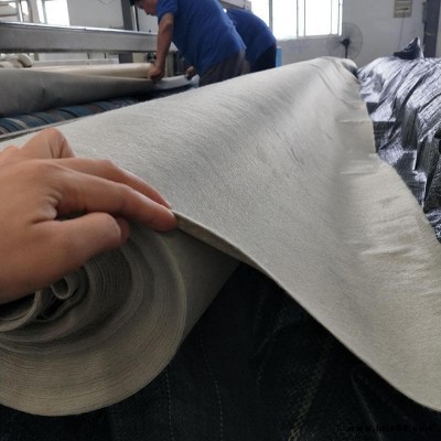 各種規格復合土工膜 一布一膜  二布一膜 質優價廉歡迎選購