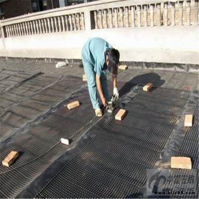 天罡 塑料防護排水板YW-P08 土建工程排水板 塑料排水板 疏水板 濾水板 導水板規格齊全歡迎來電咨詢