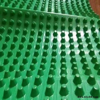 安平天罡 廠家直銷 卷材 塑料排水板 凹凸型排水板 排水板 防根刺頂板底板