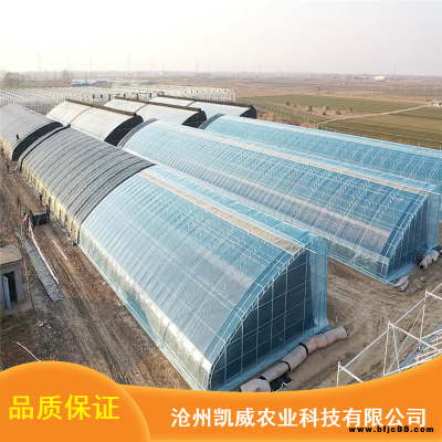 多規(guī)格雙膜骨架溫室雙膜骨架Q235B鋼材雙膜骨架市場(chǎng)價(jià)格