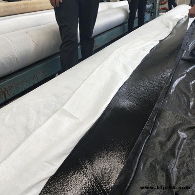 三沙 加工定制防水兩布一膜500g 現貨hdpe復合膜 防滲土工布兩布一膜