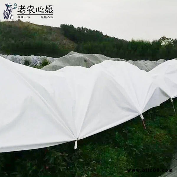 常德老農心愿 防寒布廠家專業生產農業防寒布 新型隔熱防寒布 果園保濕防寒布 枇杷柑橘防寒布 幼苗防凍防寒布 現貨批發