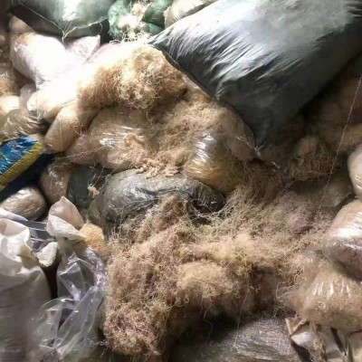 東莞專業回收ETFE膜顆粒廠家F46料頭膜工程塑膠報價特種工程塑料
