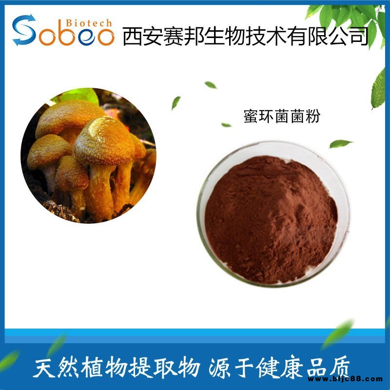 蜜環菌提取物 萃取濃縮粉 蜜環菌菌粉 蜜環菌多糖 現貨包郵