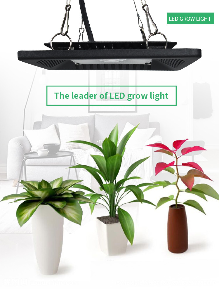 超薄植物燈 110v Led 全光譜COB 防水花卉蔬菜地下室 投光燈 吊裝示例圖9