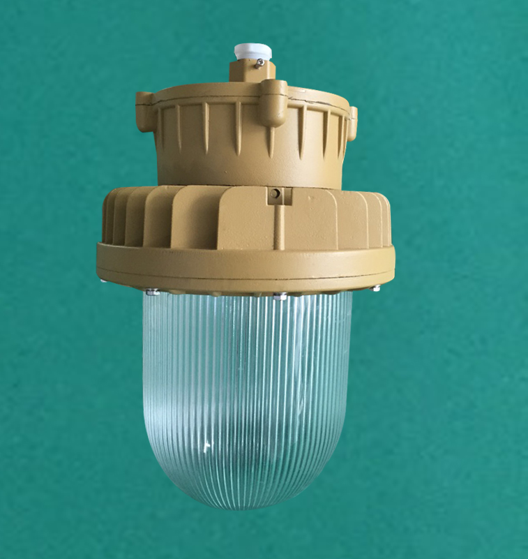 BTD-250/400隔爆型防爆投光燈（分體式）示例圖3