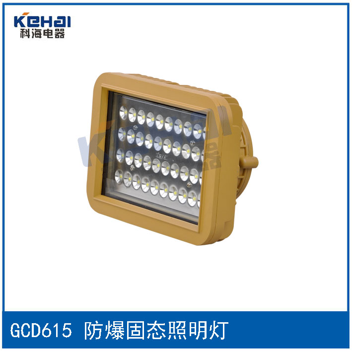 BTD-250/400隔爆型防爆投光燈（分體式）示例圖5