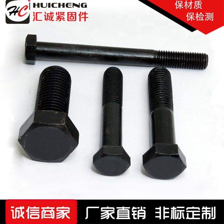 匯誠(chéng)緊固件廠家直銷8.8級(jí)外六角螺絲 高強(qiáng)度螺栓  訂做異型 M16示例圖2