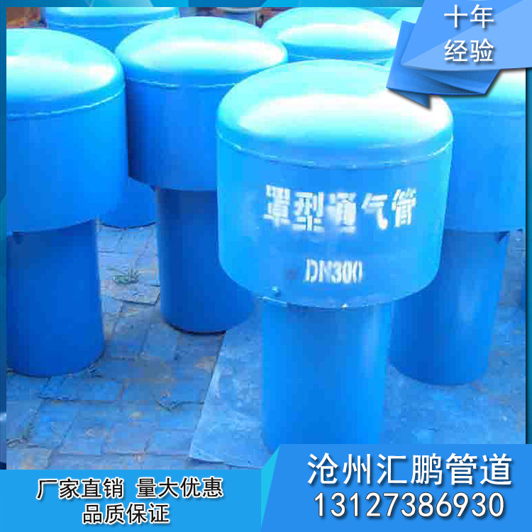 廠家直銷 Z-200罩型通氣管 建筑排水標準通氣管 量大從優示例圖9
