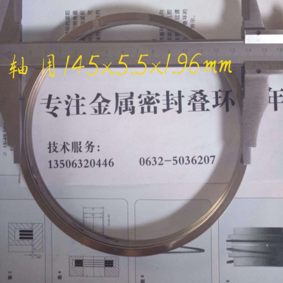 FEY ISD 軸用145 疊環(huán) 密封疊環(huán) 鋼鐵專(zhuān)業(yè)密封件 軸承密封示例圖1